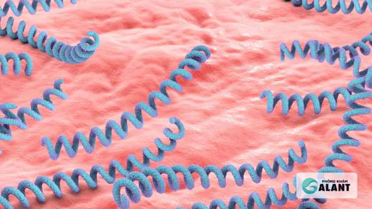 Vi khuẩn Giang Mai